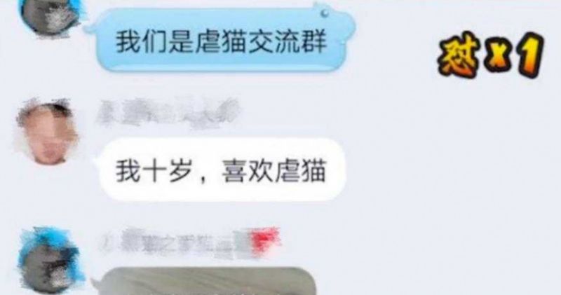 中國近來發生多起虐待動物並拍攝影片上傳網路的病態事件，施虐者從10幾歲小男孩到40多歲女子都有。 圖：翻攝微博