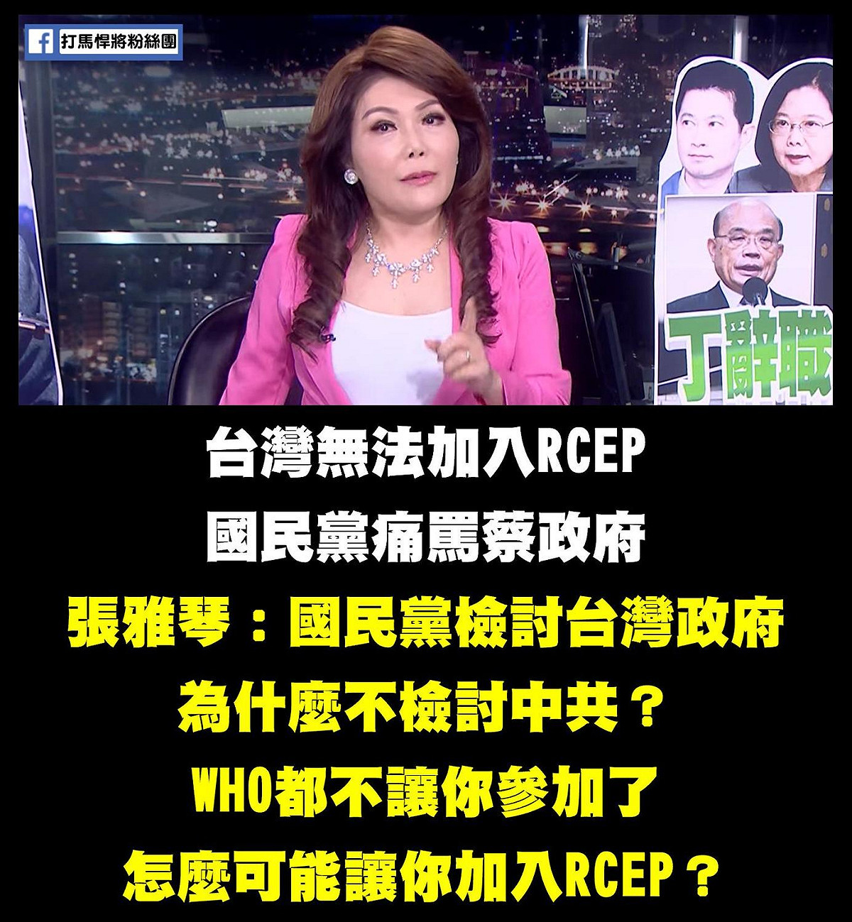 年代新聞主播張雅琴痛批國民黨，「中國連WHO都不讓你參加了，何況是RCEP」。 圖：翻攝自打馬悍將粉絲團臉書