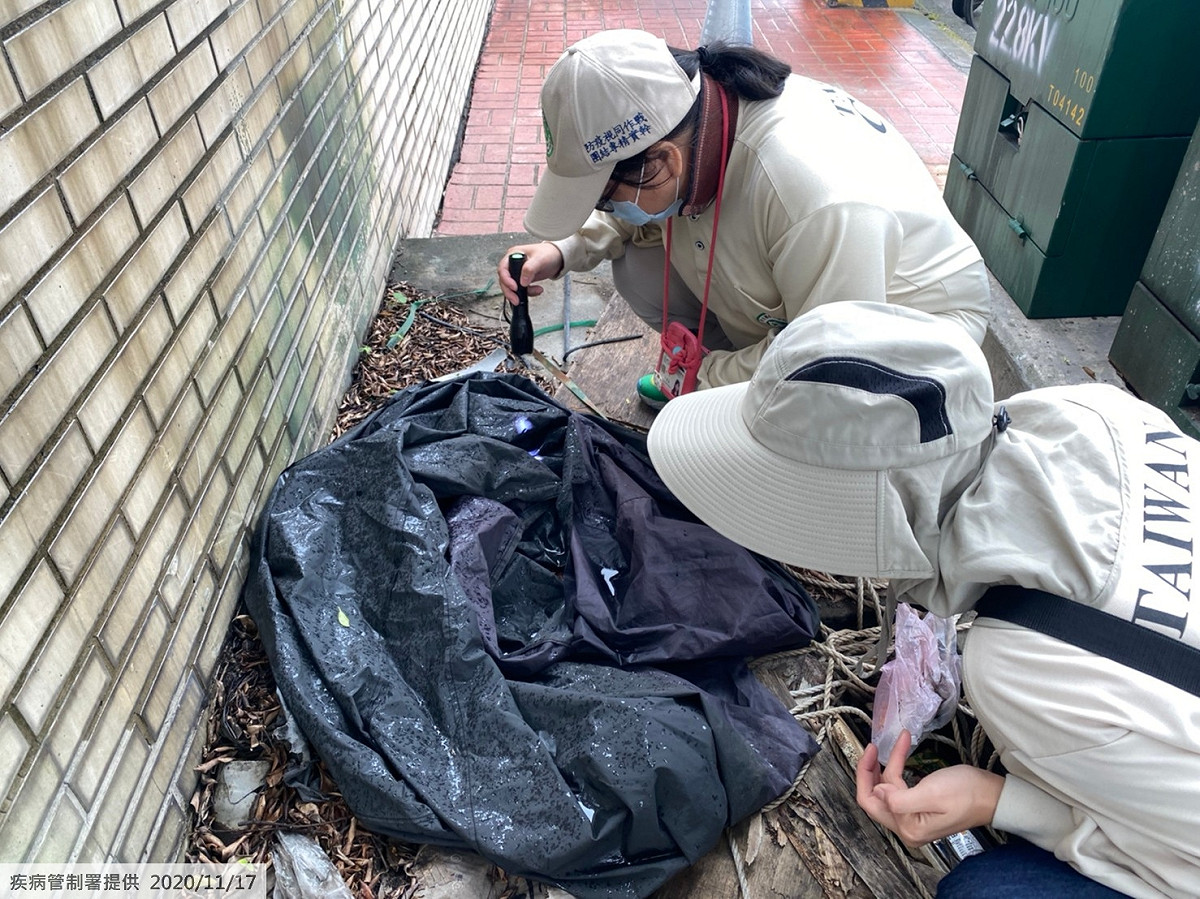 疾管署防疫人員於桃園市龜山區本土登革熱個案活動地進行孳生源查核。 圖：疾病管制署/提供