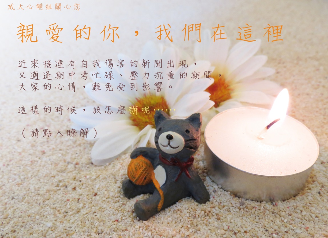成大校方已在心理健康與諮商輔導組網站發佈「親愛的你，我們在這裡」一文。 圖：取自成功大學心理健康與諮商輔導組官網