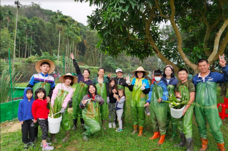楓茶米休閒農業區現場提供青蛙裝拍照。 圖：桃園市政府／提供