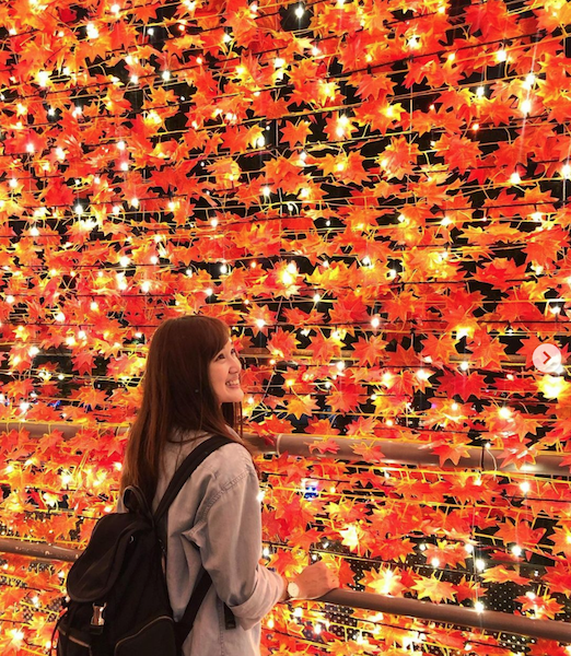 楓葉廊道。 圖：翻攝instagram／mikuhsu0417
