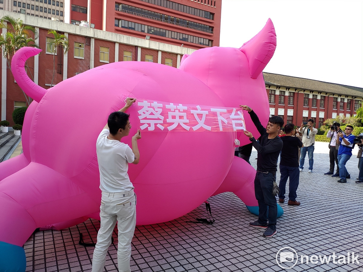 國民黨抗議萊豬出新招，在立法院開議前，就在議場門前架起道具大豬。 圖：黃建豪/攝