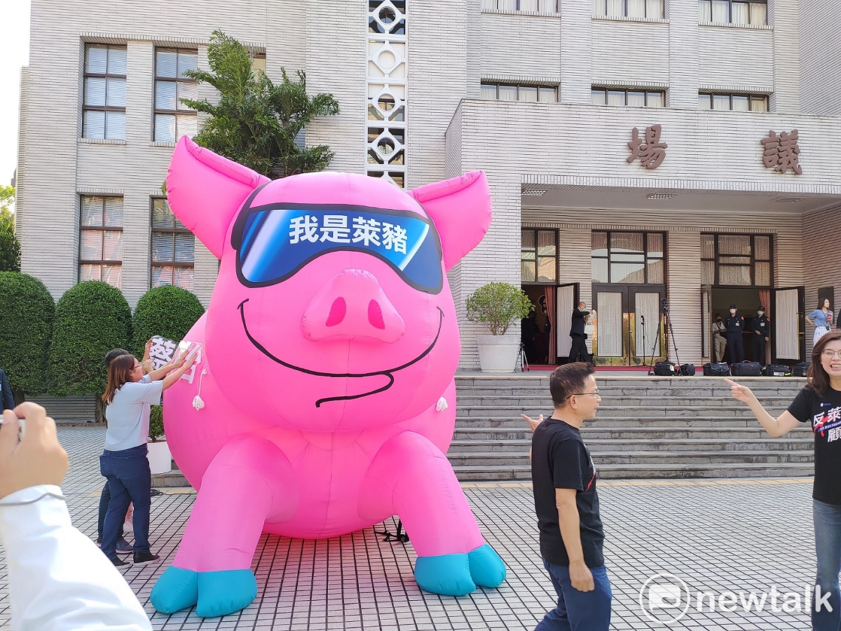 國民黨抗議萊豬出新招，在立法院開議前，就在議場門前架起道具大豬。 圖：黃建豪/攝