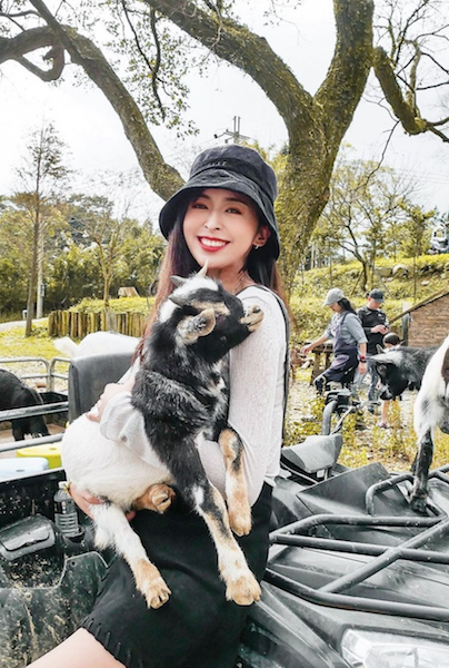 Nikki餵食動物。 圖：翻攝instagram／nikki.919