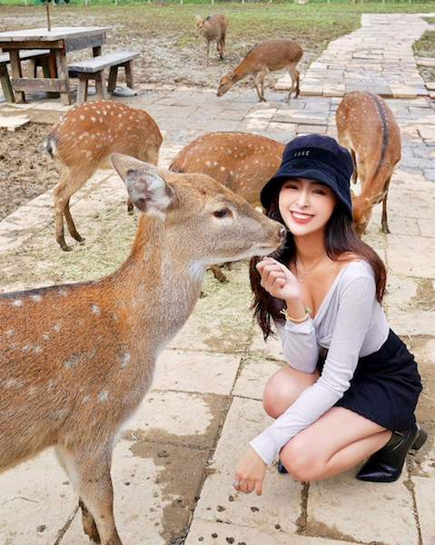 Nikki餵食動物。 圖：翻攝instagram／nikki.919