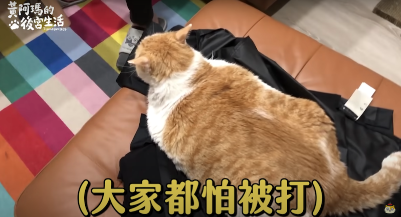黃阿瑪霸道行徑。 圖：翻攝Youtuber／ 黃阿瑪的後宮生活／11月20日影片