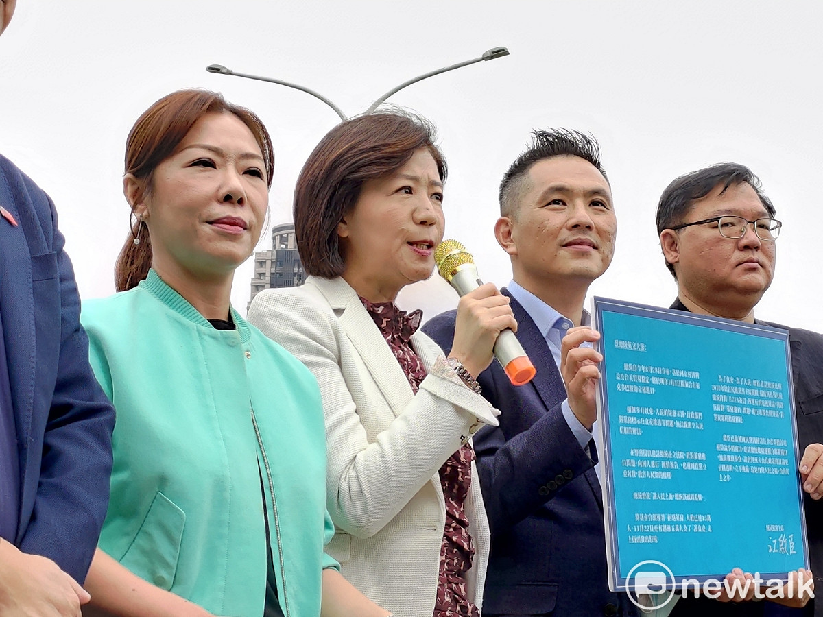 國民黨文傳會主委王育敏。 圖：黃建豪/攝