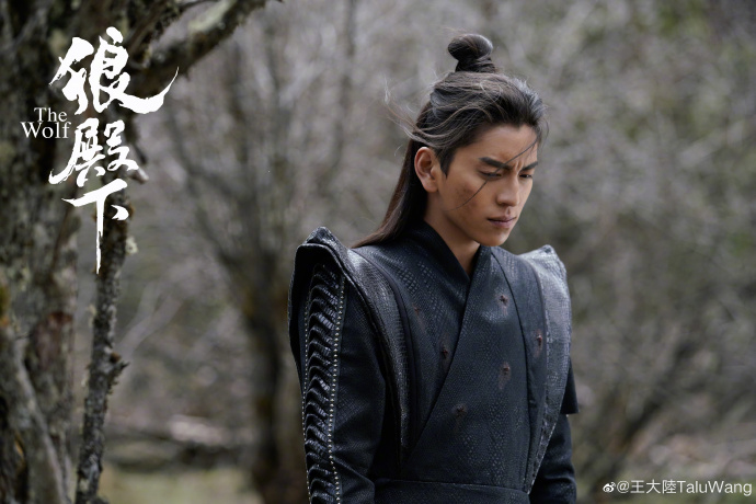 王大陸主演的中國電視劇《狼殿下》睽違3年終於上檔。 圖：翻攝自王大陸微博