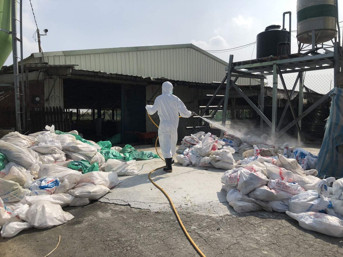 嘉義縣肉鵝場發生禽流感，防疫人員前往清場消毒。 圖：嘉義縣政府/提供