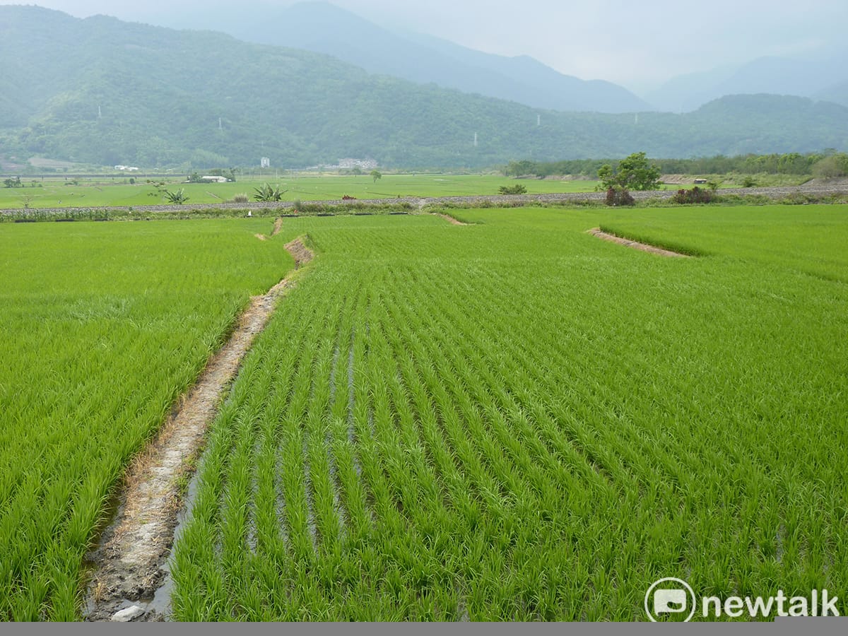 農委會今日將公布嘉南地區停灌範圍及補償措施。 圖：農糧署北區分署/提供（資料照）