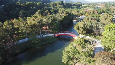 三坑自然生態公園就是一個等待你探訪發掘的秘境。 圖：桃園市觀旅局／提供