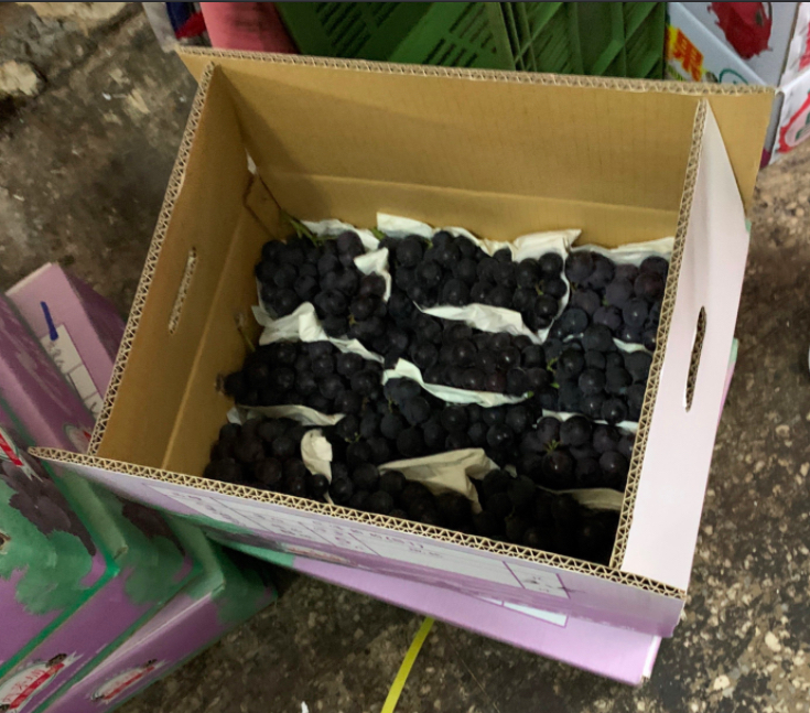 巨峰葡萄。 圖：台北市衛生局／提供