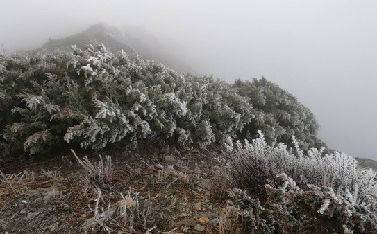 氣象局原先預計今日可能出現初雪，但因水氣不足沒有如期降雪(資料照：玉山的霧淞)。 圖：中央氣象局／提供