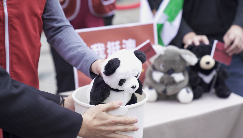 台灣基進將中國熊貓丟進垃圾桶，象徵台澳共同唾棄中國霸凌。 圖:台灣基進提供