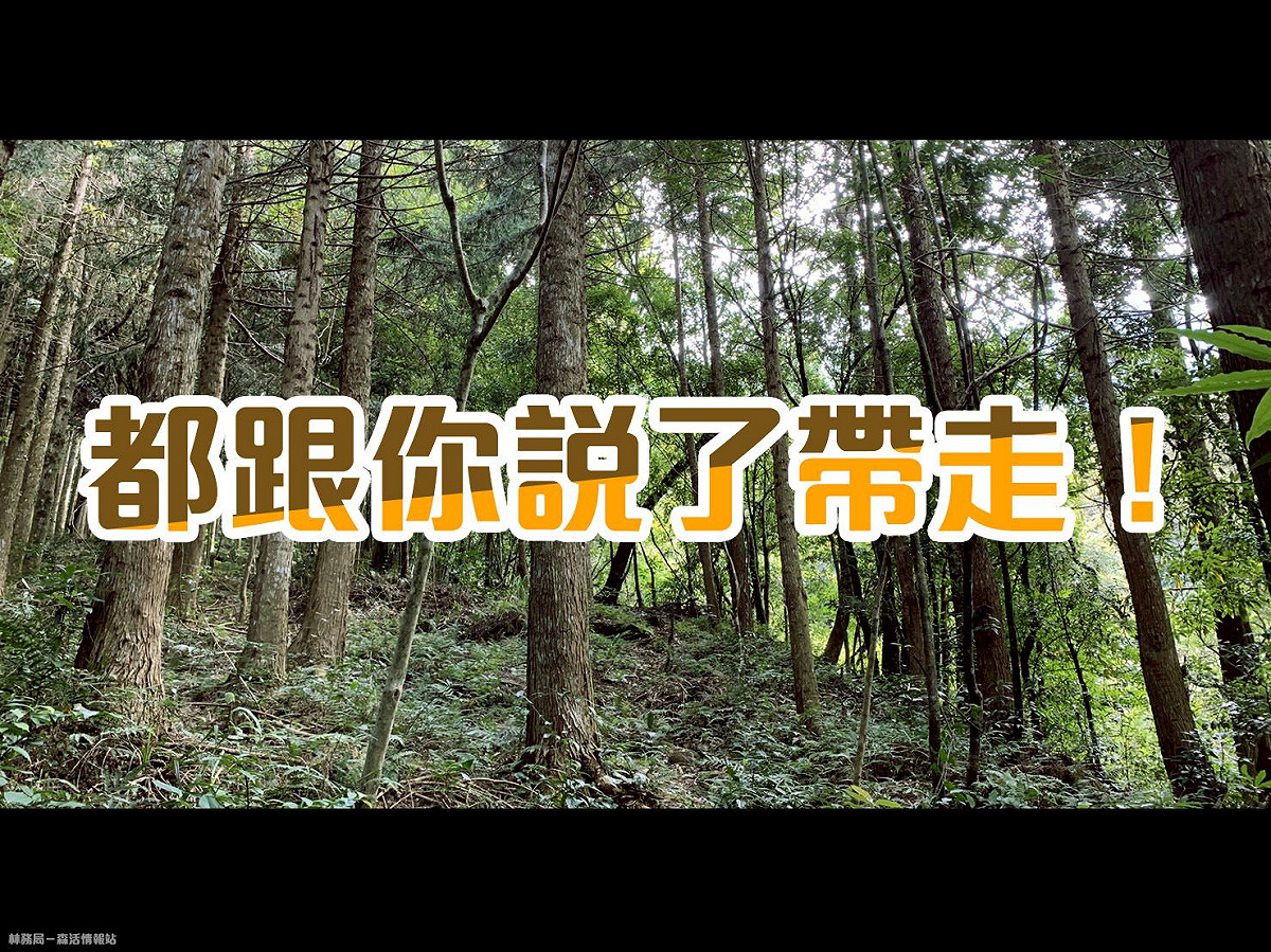 林務局表示，近期加里山出現大量只用過的「小白花」衛生紙。 圖：翻攝自林務局-森活情報站臉書