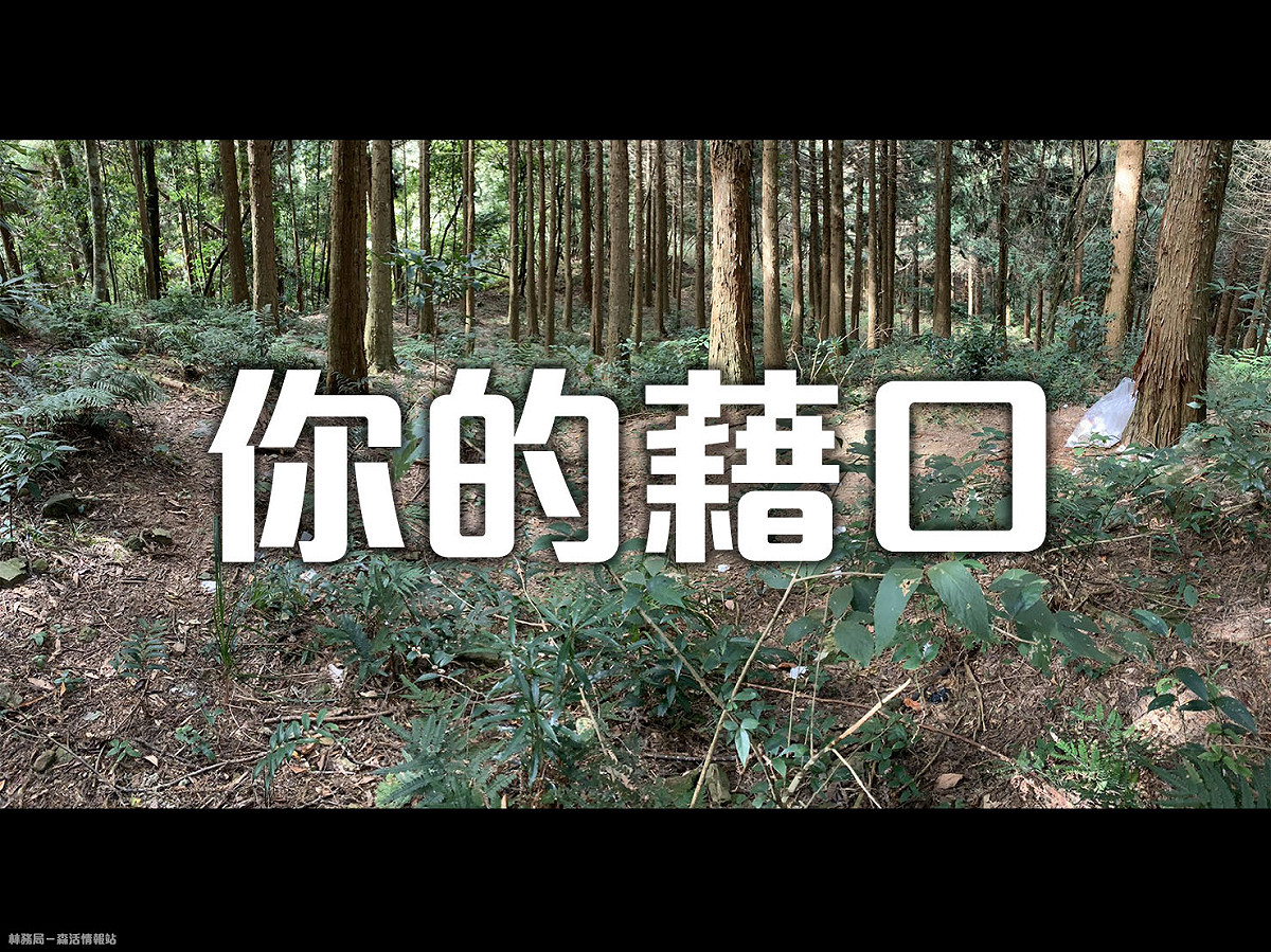林務局表示，近期加里山出現大量只用過的「小白花」衛生紙。 圖：翻攝自林務局-森活情報站臉書