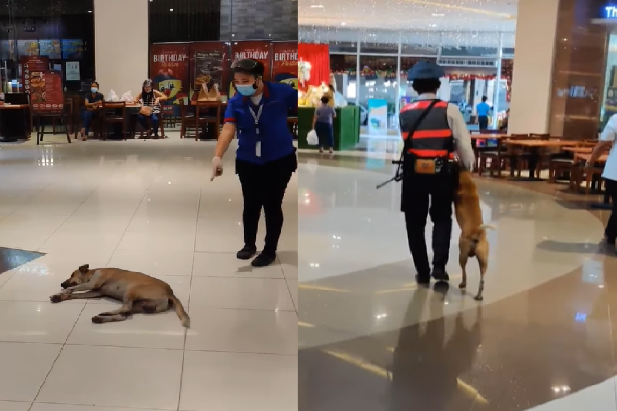 後來就拉著牠的腳，一起離開了。 圖：取自Facebook＠Jan Mart Calimpong