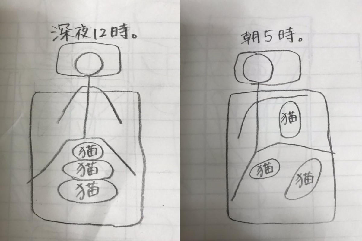 推主無法拍下睡覺時的情形，只好以簡單手繪方式描述，這是半夜12點貓咪並排窩在雙腿之間的模樣。 圖：取自twitter@kurosuke_neko