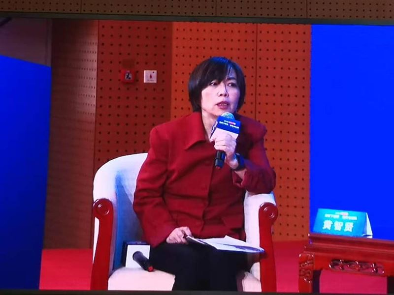 黃智賢日前發表統促相關言論，許多民眾批評她背叛中華民國。 圖：翻攝黃智賢世界臉書