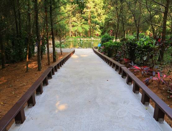 園區植栽拓印步道。 圖：農委會林試所／提供