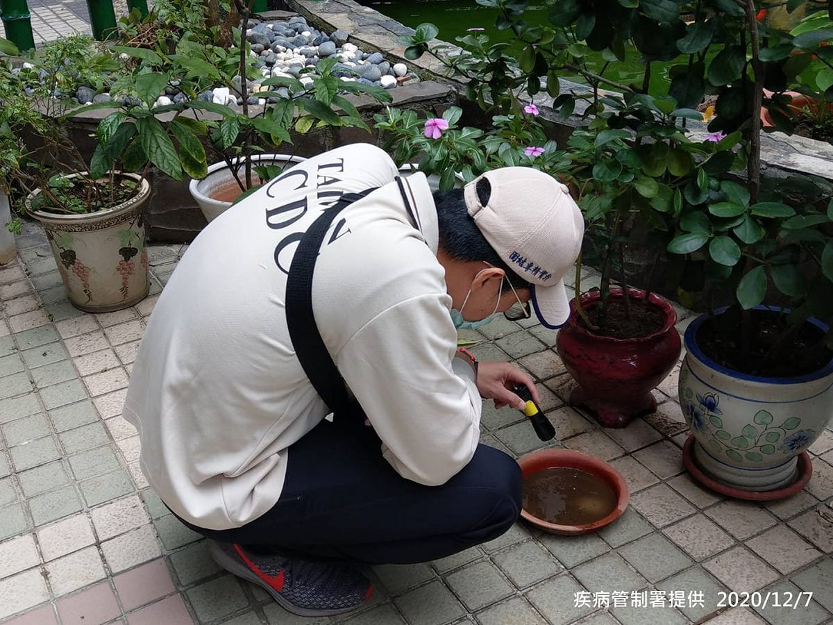 疾管署防疫人員於新北市新莊區本土登革熱個案活動地進行孳生源查核。 圖：疾病管制署/提供