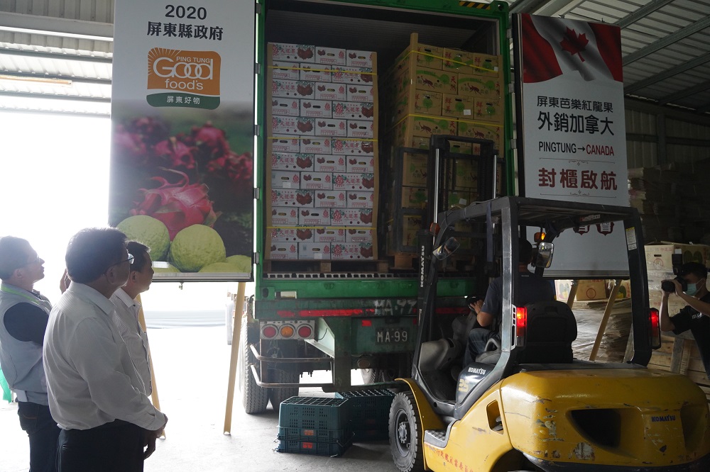 今天屏東的芭樂和火龍果外銷到加拿大 圖：屏東縣政府／提供