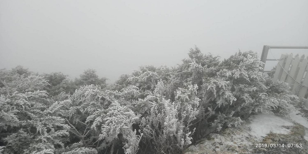 氣象局表示，玉山今晚可能迎來今年的初雪(資料照)。 圖：中央氣象局/提供