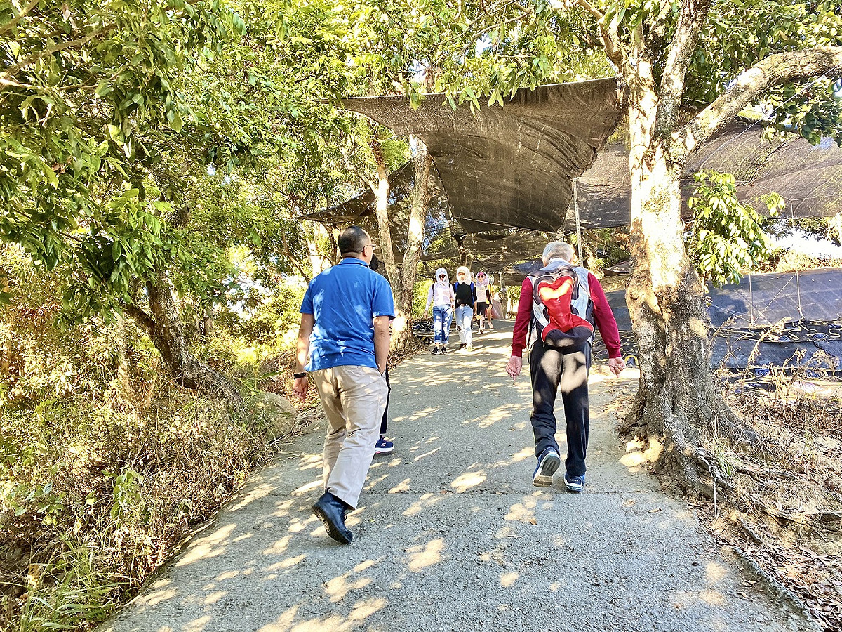 大坑9號步道今年10月完工 圖：台中市觀旅局／提供