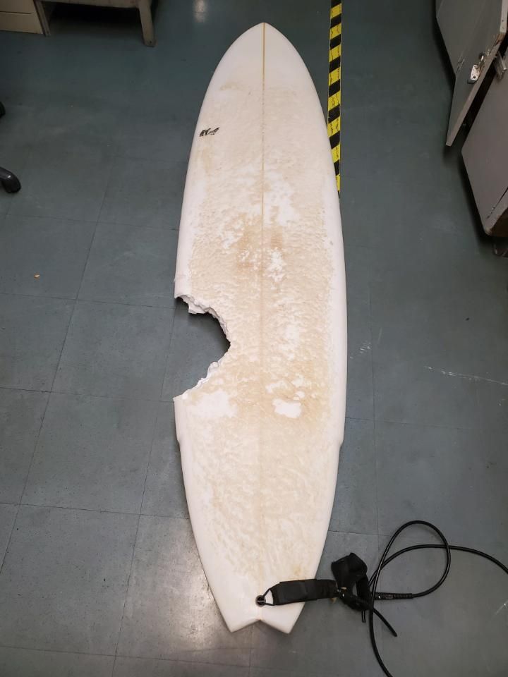 一名來自西茂宜島拉海納市的56歲男子８日清晨前往霍諾盧亞灣衝浪，未料被鯊魚咬傷，送醫後不幸去世。圖為被鯊魚咬掉的衝浪板。 圖：翻攝自夏威夷國土資源部網站