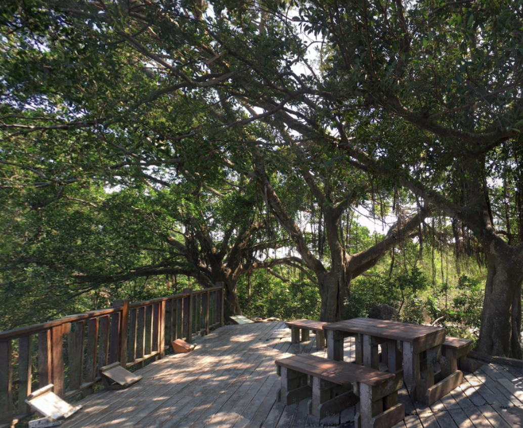 高雄柴山。 圖：翻攝google街景