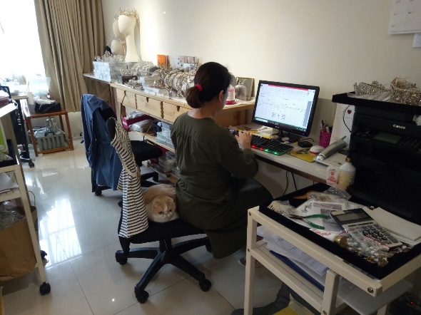 陪員工上班的乖乖。  圖：新北市動保處提供