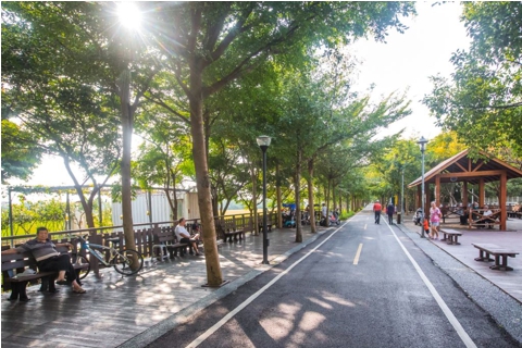 潭雅神綠園道的老樟樹平臺。 圖：台中市觀旅局／提供