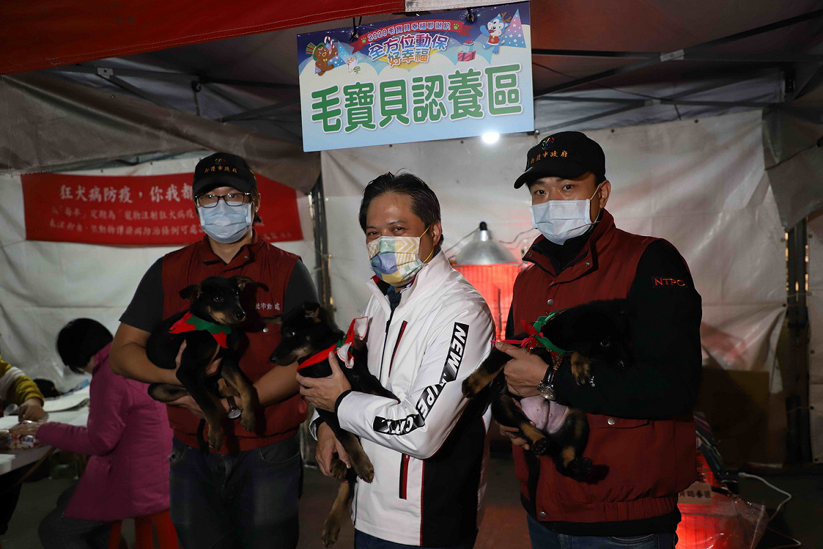 副市長吳明機與認養區等待被認養的狗狗合照。  圖：新北市動保處提供