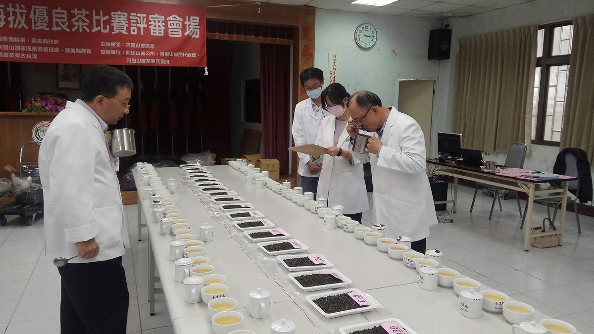 嘉義縣大阿里山地區冬季優良茶競賽成績揭曉，將於元旦頒獎。 圖：嘉義縣政府/提供