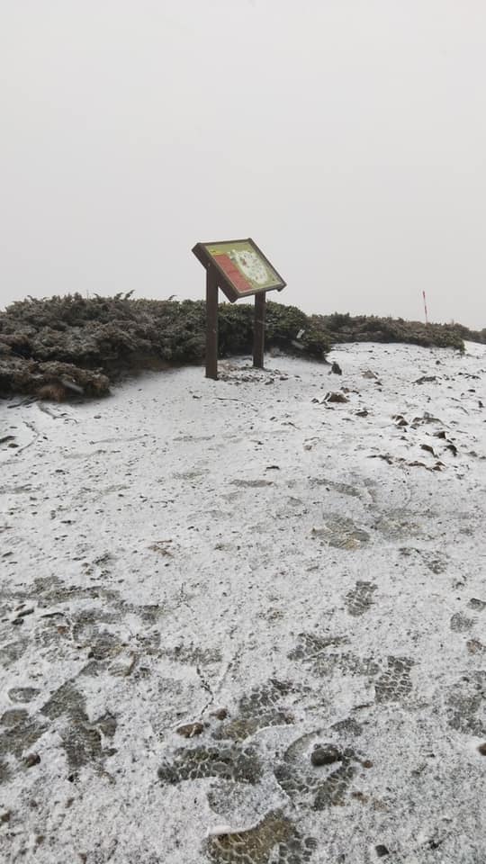 雪山在今日清晨降下入冬初雪。 圖：擷取自雪霸國家公園高山協作全蔣清臉書