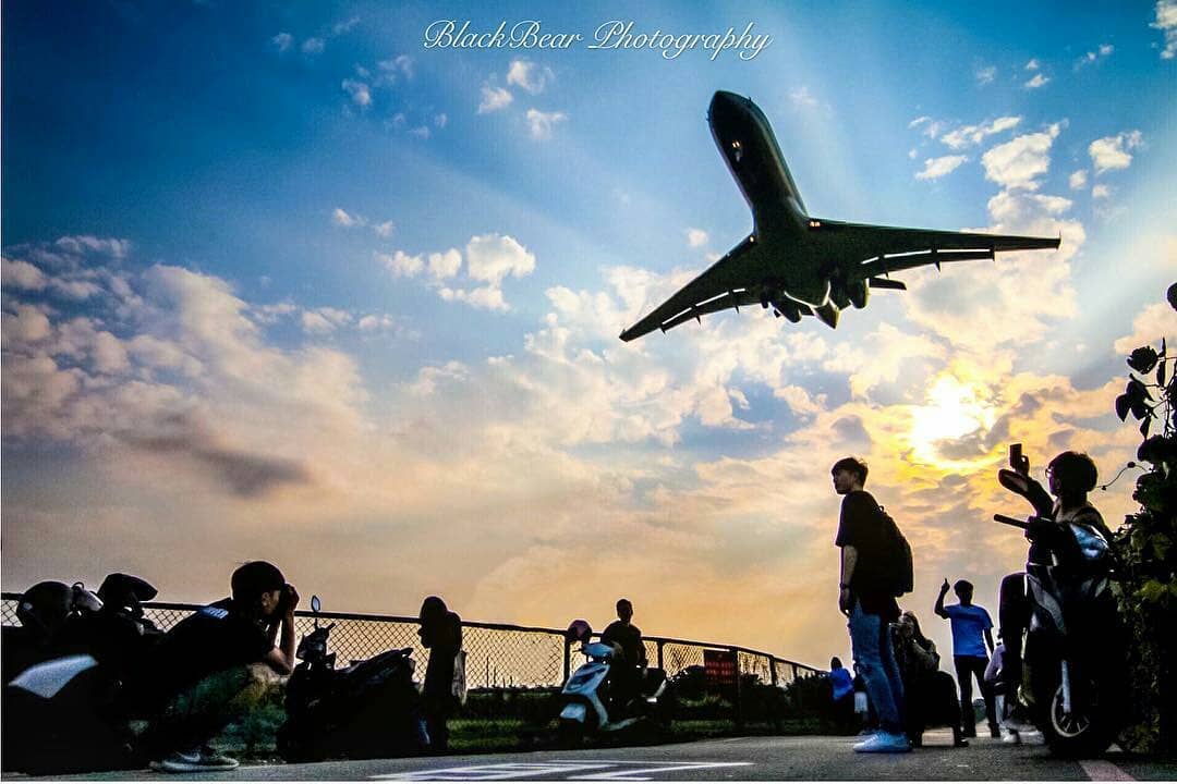 第二波離島航線加開班機於29日下午6點開賣。 圖：取自台北國際旅遊網