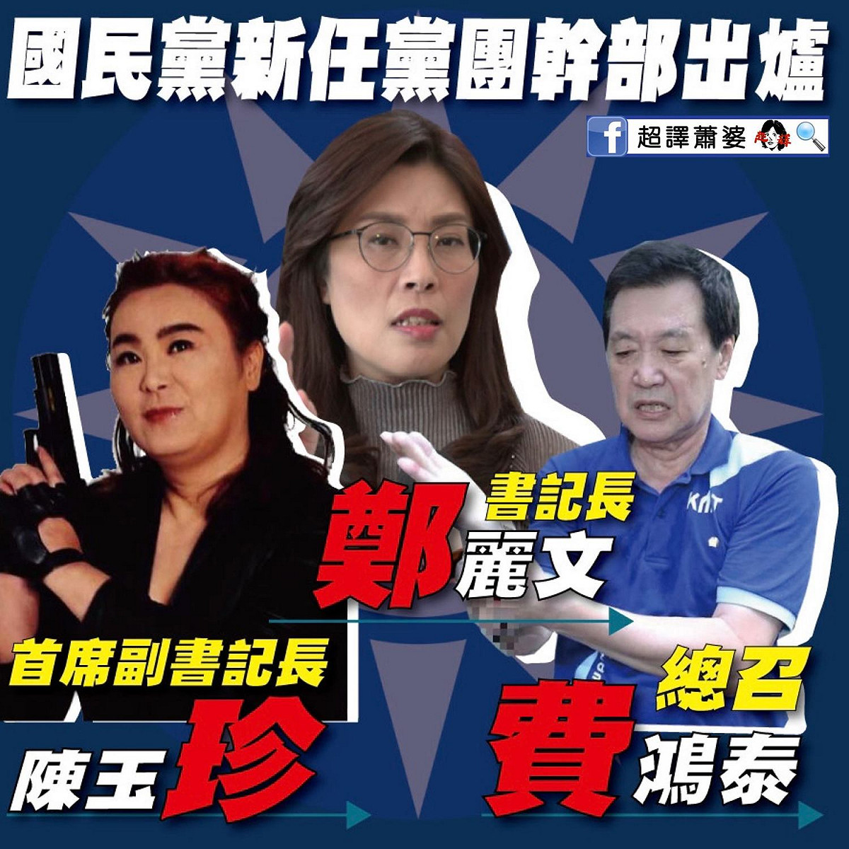 國民黨團新幹部出爐，臉書粉專只是堵藍嘲諷團名真棒「珍鄭費」。 圖：翻攝只是堵藍臉書