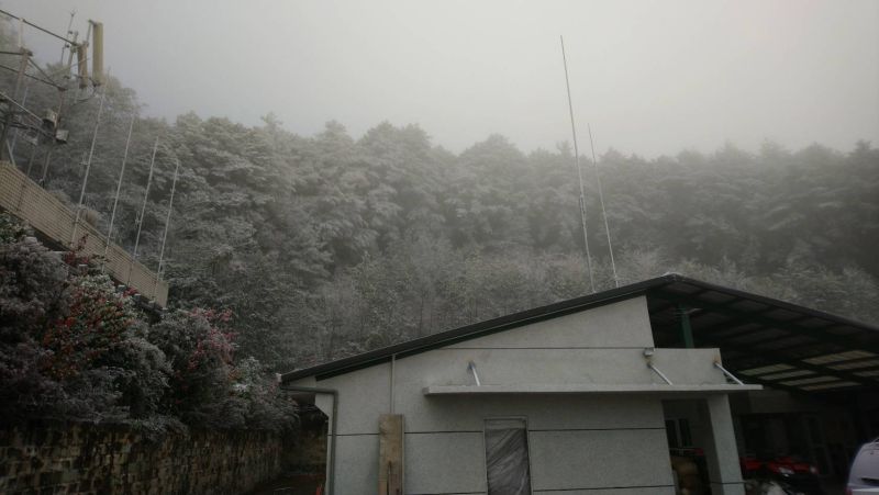 台東向陽森林遊樂園區今日降下冰霰。 圖：台東林管處／提供
