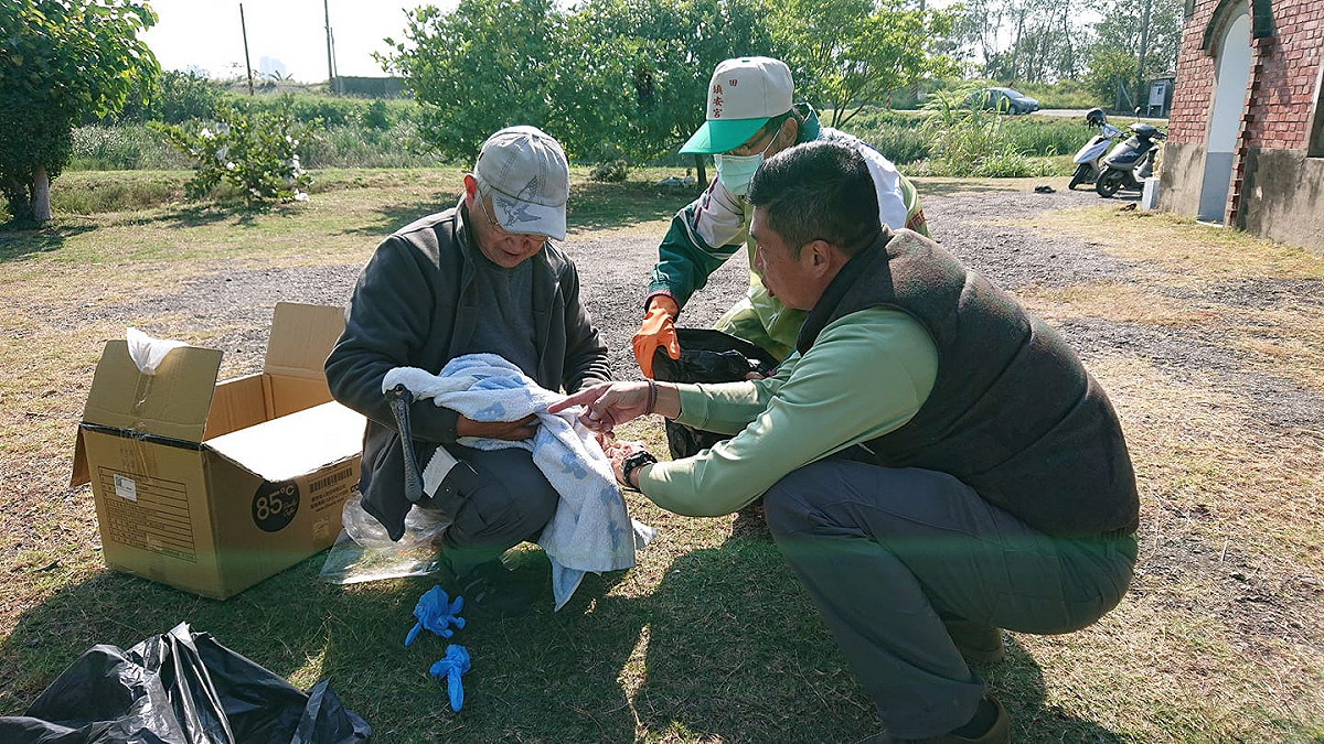 台南鳥友王昶欣2日前往鹽水溪口北岸賞鳥，在一處魚塭發現一隻行動怪異的黑面琵鷺，下半身泡在水中無法站立，而右方樹叢中還有一隻鳥屍，他驚覺大事不妙，立刻通報台江國家公園和台南鳥會。 圖：翻攝自台南市野鳥學會臉書社團