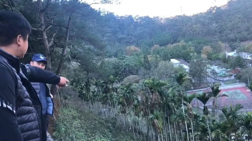 和平區東關路1段台電巷1公里處果園疑有受傷小黑熊，相關單位正搜尋中。 圖:和平警分局/提供