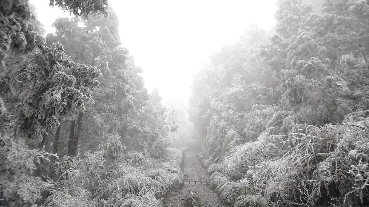 寒流將至，全台許多山區都有機會降雪。 圖：翻攝自太平山國家森林遊樂園區臉書