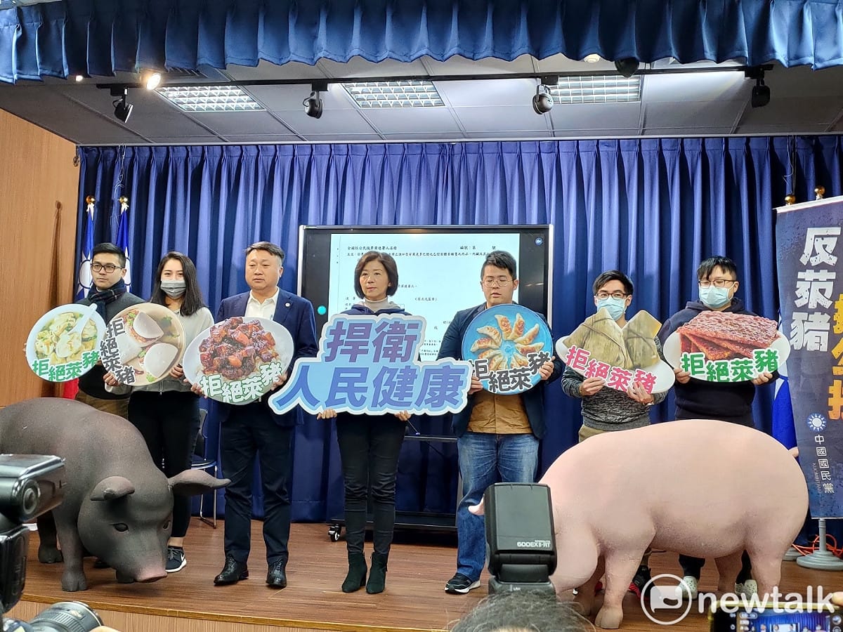 國民黨宣布反萊豬、公投綁大選兩項公投案的第二階段連署將達70萬份，將於3月9日送交中選會。 圖：黃建豪/攝（資料照）