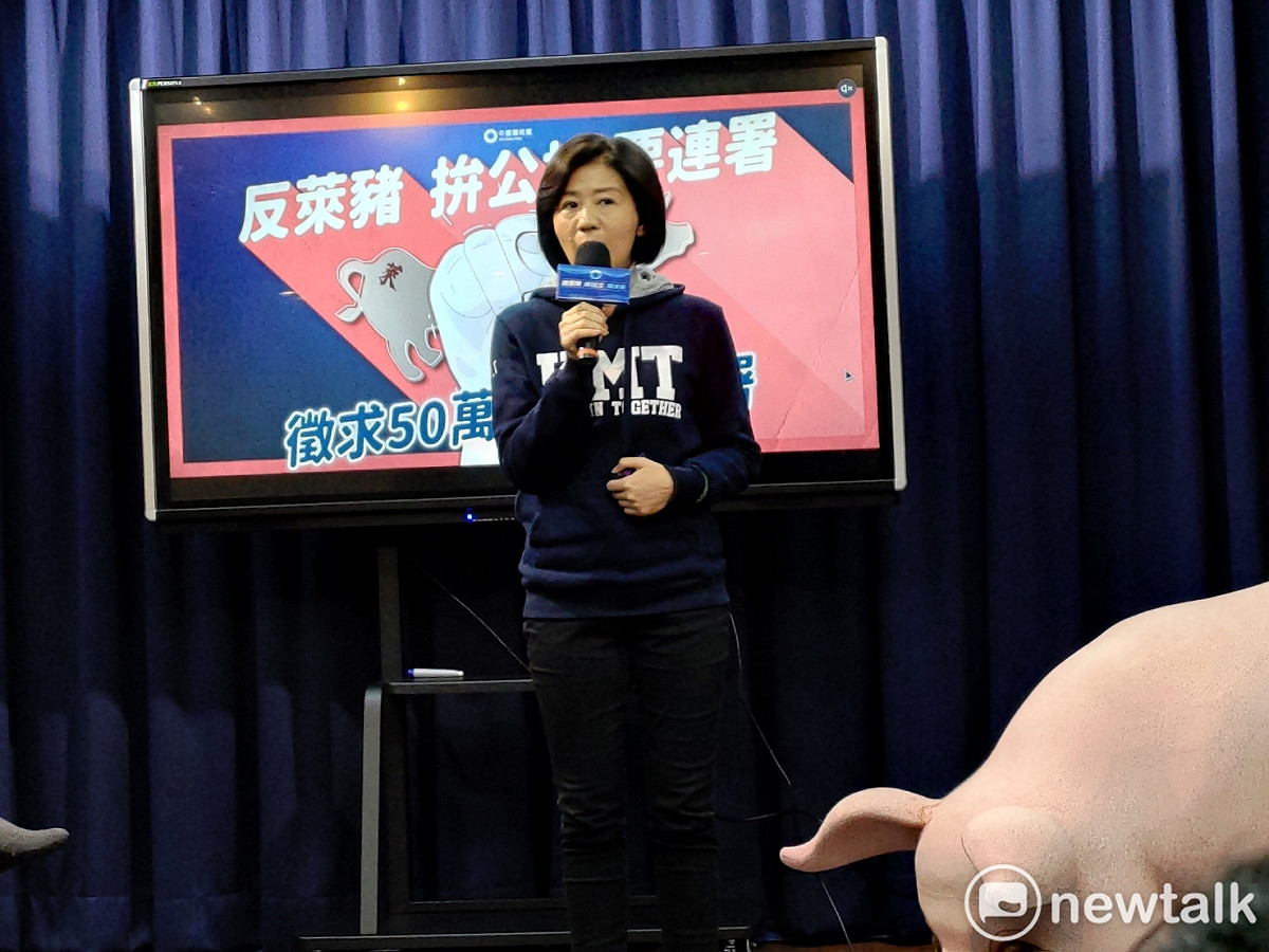 國民黨文傳會主委王育敏。 圖：黃建豪/攝
