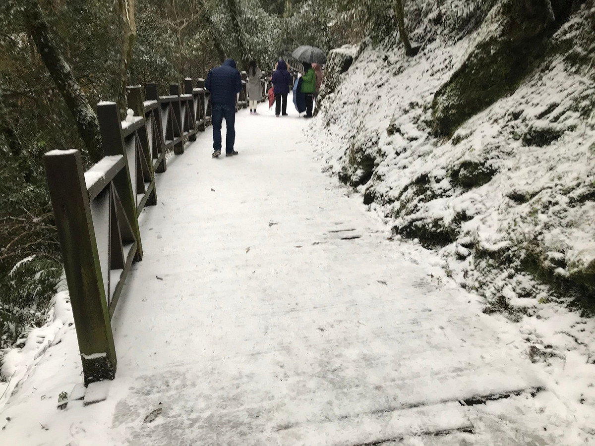 拉拉山巨木群棧道出現積雪。 圖：林務局／提供