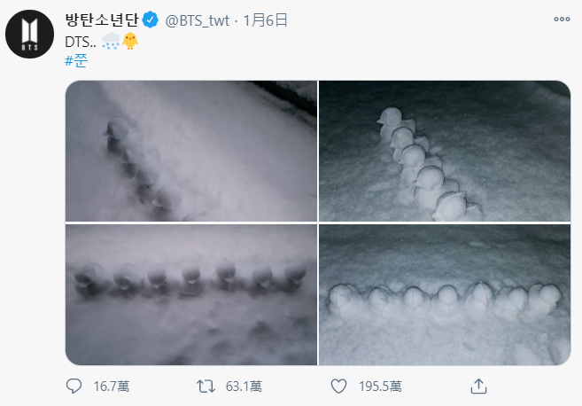 BTS RM也興奮出門堆雪人，還做了7隻小鴨雪球，幫牠們取名為「DTS」。 圖：翻攝自BTS推特