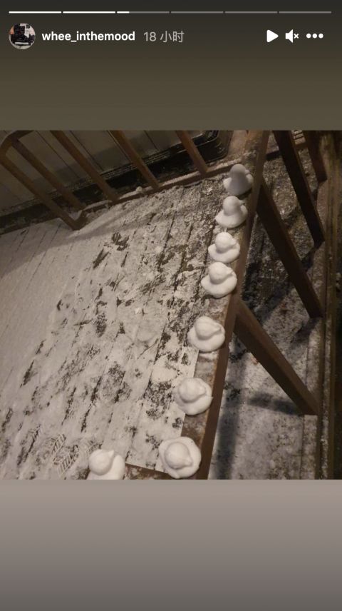 MAMAMOO輝人也成功做出小鴨雪球。 圖：翻攝自輝人IG