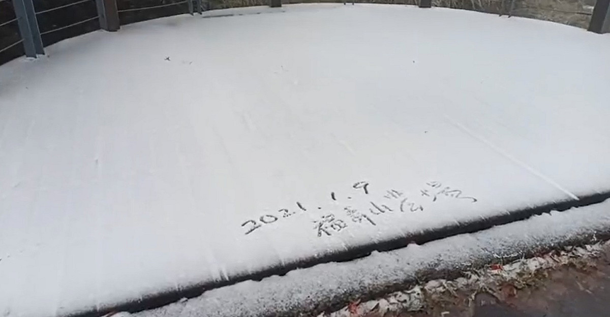 福壽山農場小編直播下雪美景。 圖/翻攝自直播影片