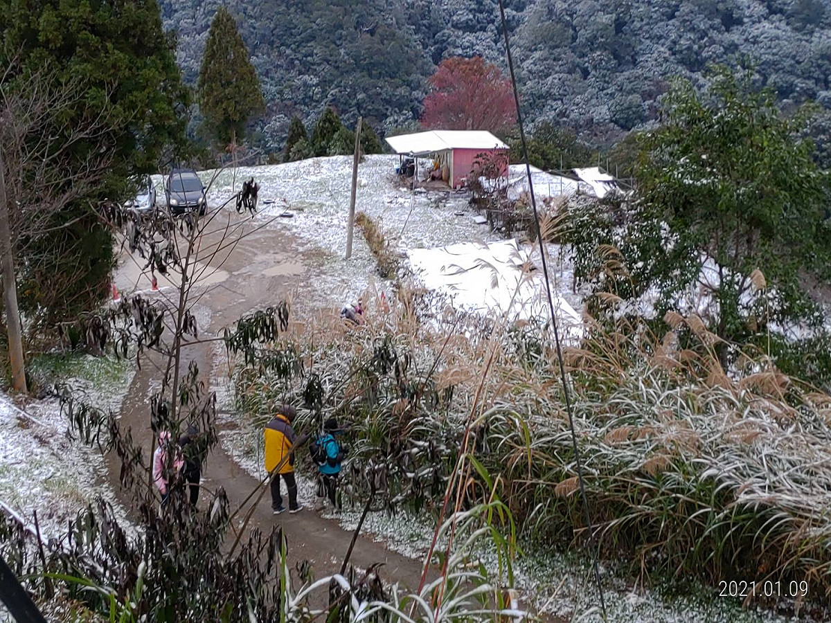 拉拉山今（9）早雪況。 圖：桃園市觀旅局／提供