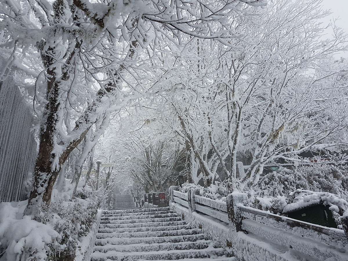 宜蘭太平山從昨晚開始降雪，完全被白雪覆蓋的美景，讓大批遊客上山追雪，但12時過後就不開放入園。 圖：翻攝自太平山國家森林遊樂園臉書